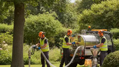 Arbor Tree Care tree fertilizing service in Worcester, MA for healthier, nourished trees
