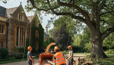 Tree removal crew serving Worcester, MA on a tree-service job site
