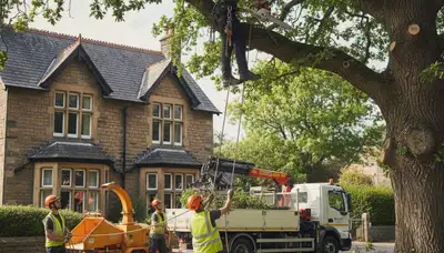 Tree service crew in Worcester, MA providing professional tree removal and trimming for homeowners